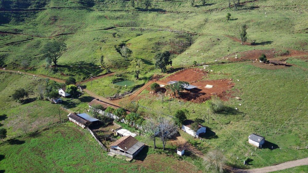 Fazenda, 224 hectares - Foto 1