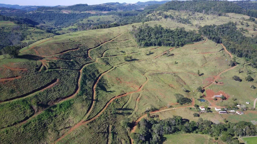 Fazenda, 224 hectares - Foto 25