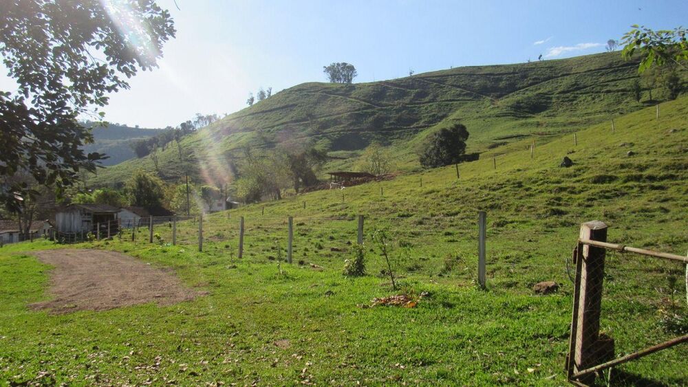 Fazenda, 224 hectares - Foto 38