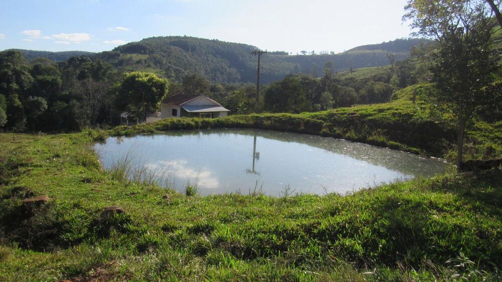 Fazenda, 224 hectares - Foto 41