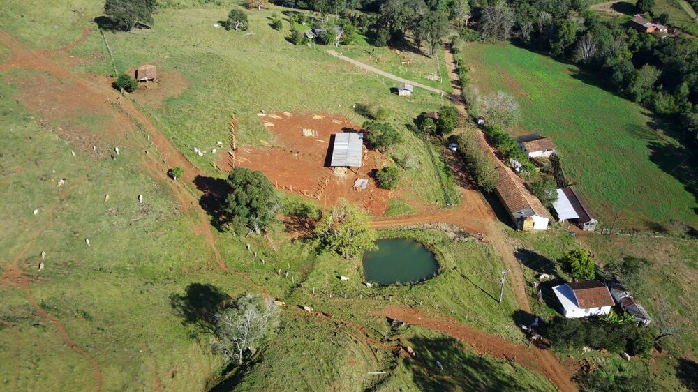 Fazenda, 224 hectares - Foto 12