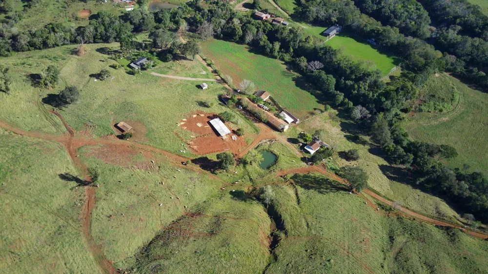Fazenda, 224 hectares - Foto 9