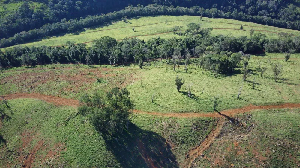 Fazenda, 224 hectares - Foto 21
