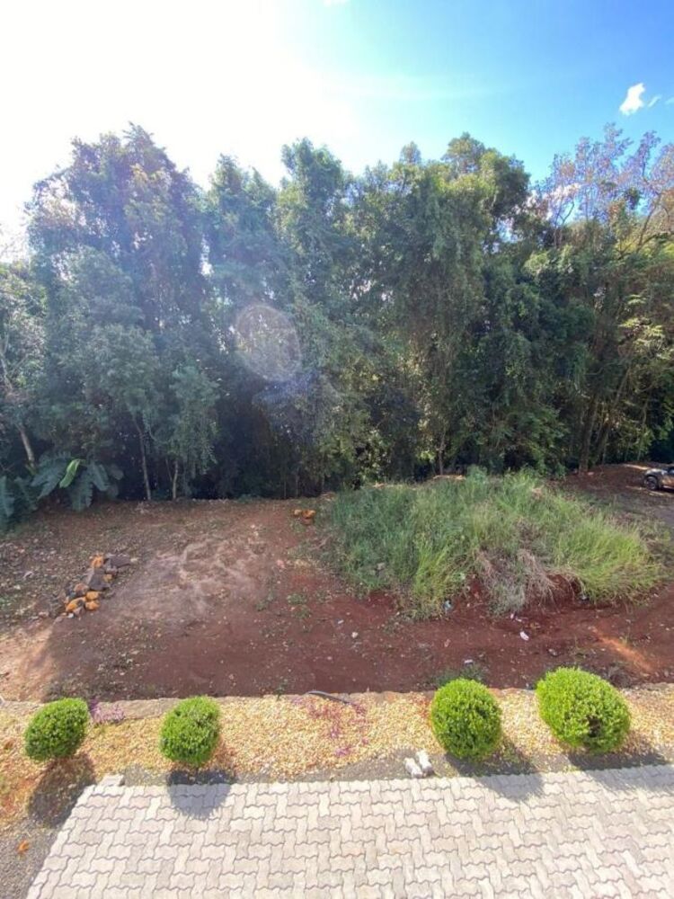 Casa, 2 quartos, 170 m² - Foto 6