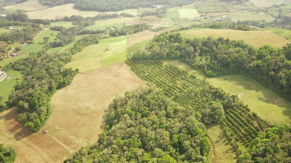 Loteamento e Condomínio, 24 hectares - Foto 4