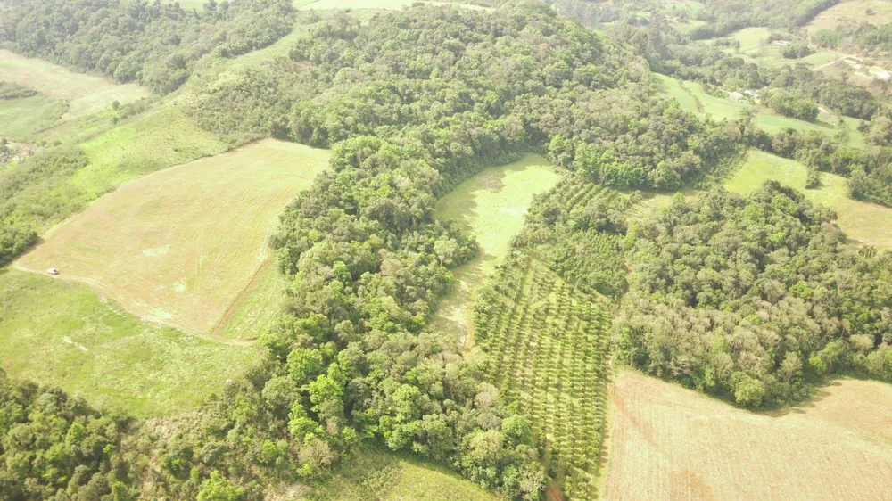 Loteamento e Condomínio, 24 hectares - Foto 3
