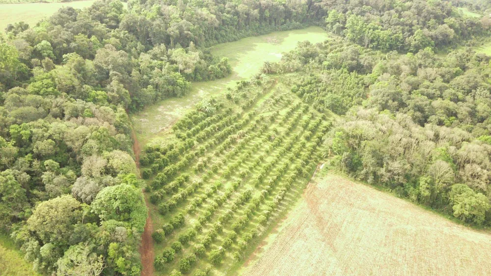 Loteamento e Condomínio, 24 hectares - Foto 5