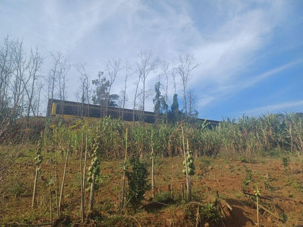 Loteamento e Condomínio, 7 hectares - Foto 5
