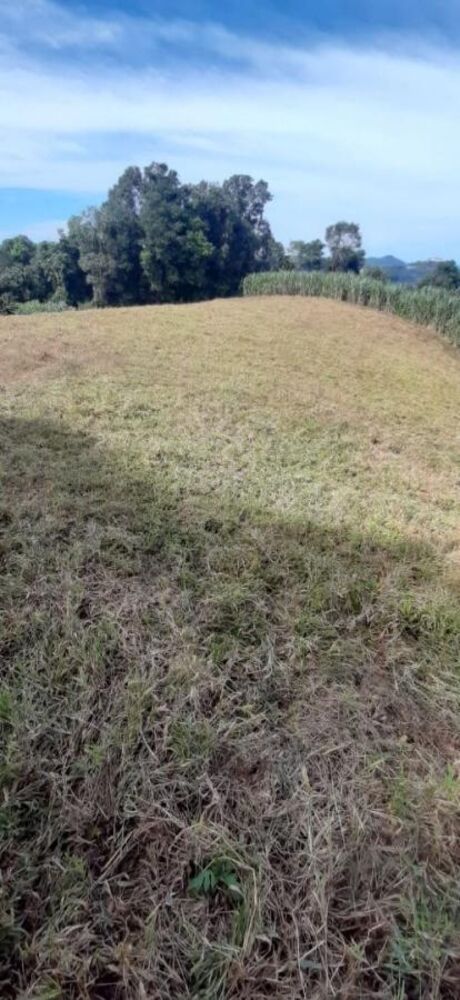 Loteamento e Condomínio à venda, 320000m² - Foto 2