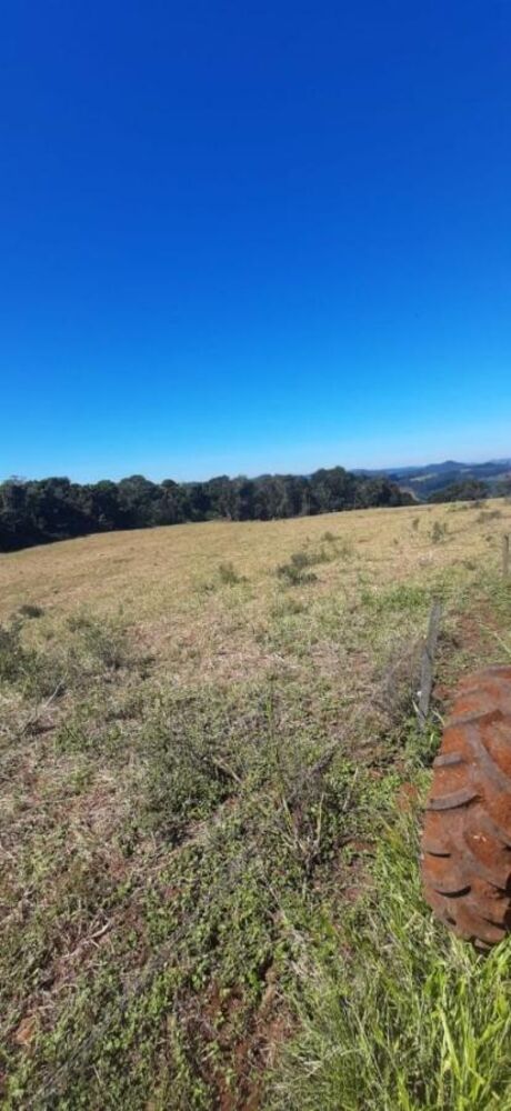 Loteamento e Condomínio à venda, 320000m² - Foto 3