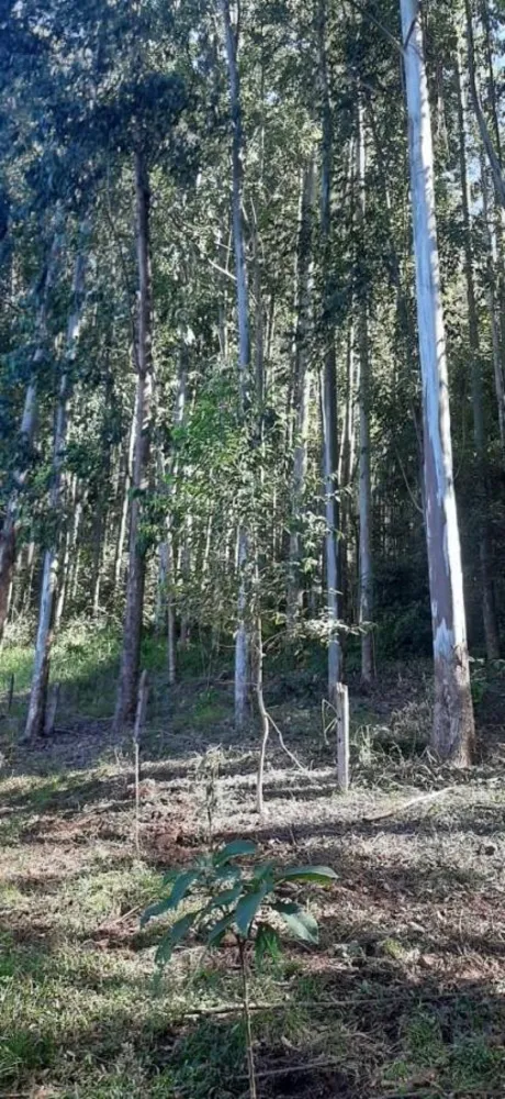 Loteamento e Condomínio, 32 hectares - Foto 8