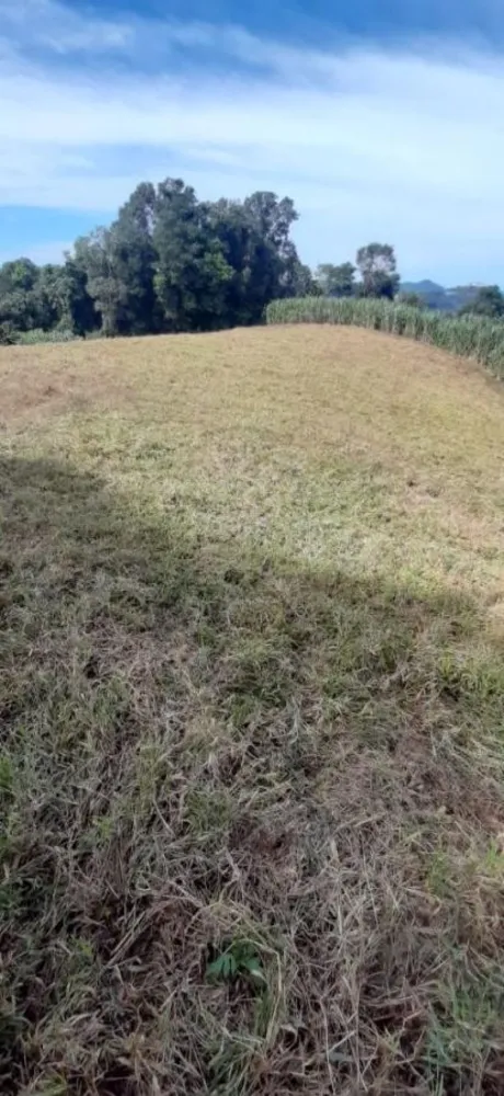 Loteamento e Condomínio, 32 hectares - Foto 5