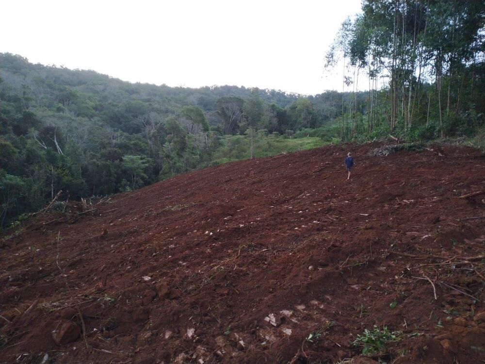 Terreno, 1 hectares - Foto 1