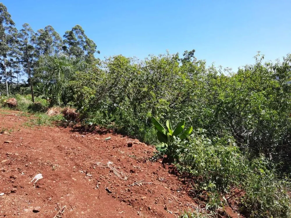 Sítio, 1200 m² - Foto 3
