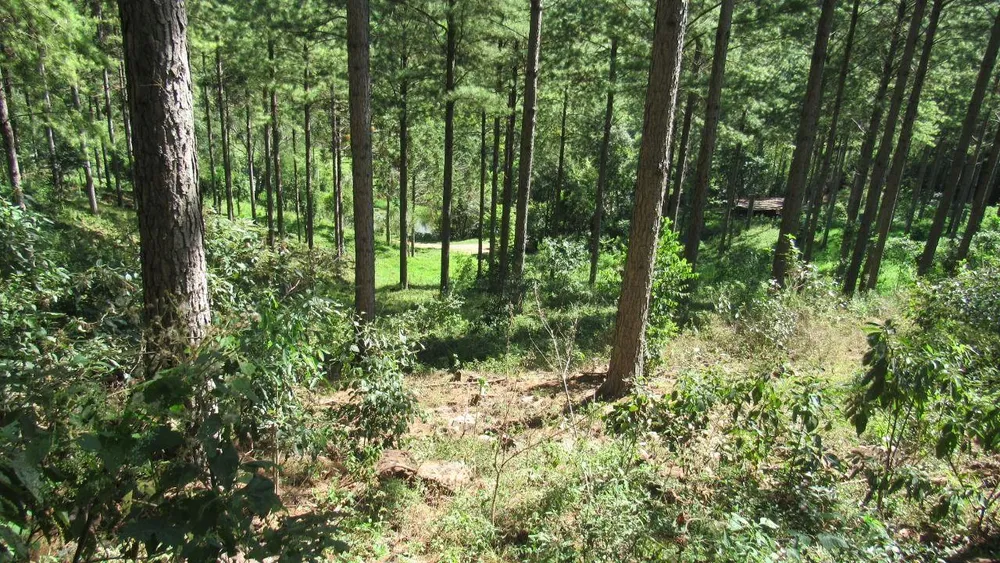 Loteamento e Condomínio, 22 hectares - Foto 7