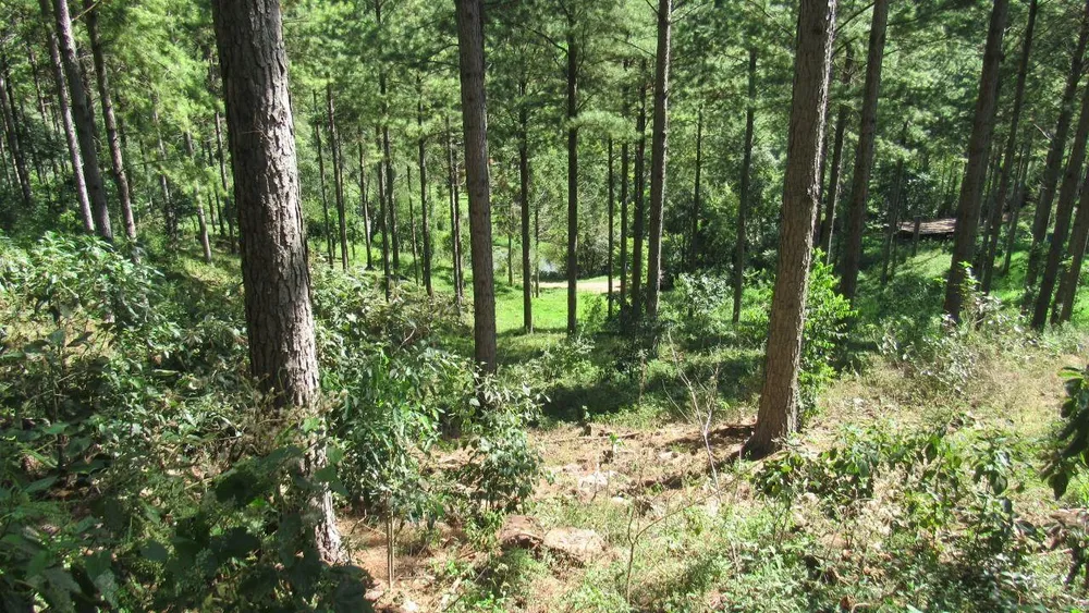 Loteamento e Condomínio, 22 hectares - Foto 11