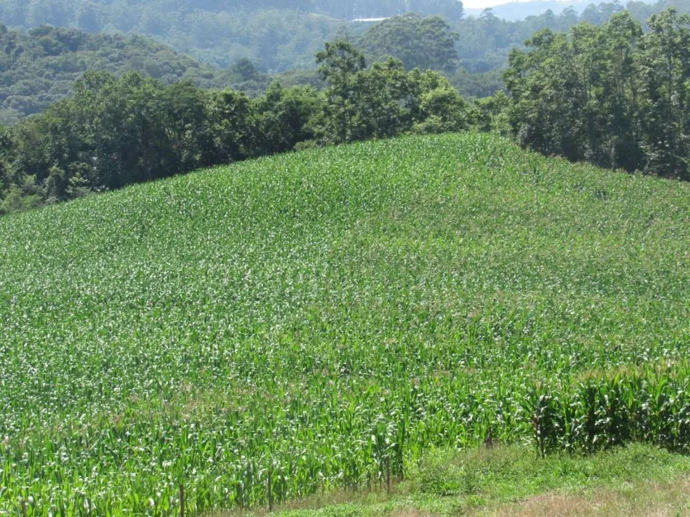 Loteamento e Condomínio, 9 hectares - Foto 9