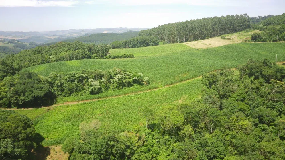 Loteamento e Condomínio, 9 hectares - Foto 6