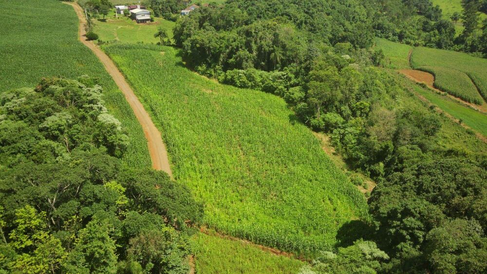 Loteamento e Condomínio, 9 hectares - Foto 1
