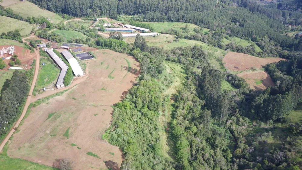 Fazenda, 16 hectares - Foto 6