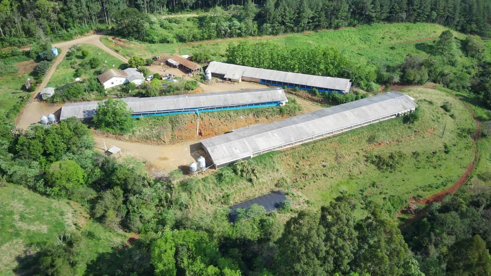 Fazenda, 16 hectares - Foto 1