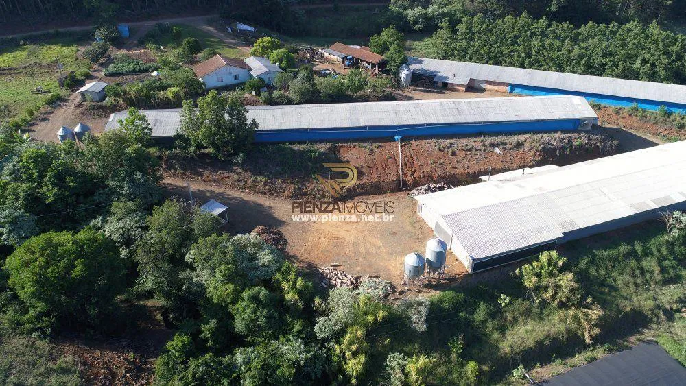 Fazenda, 16 hectares - Foto 3
