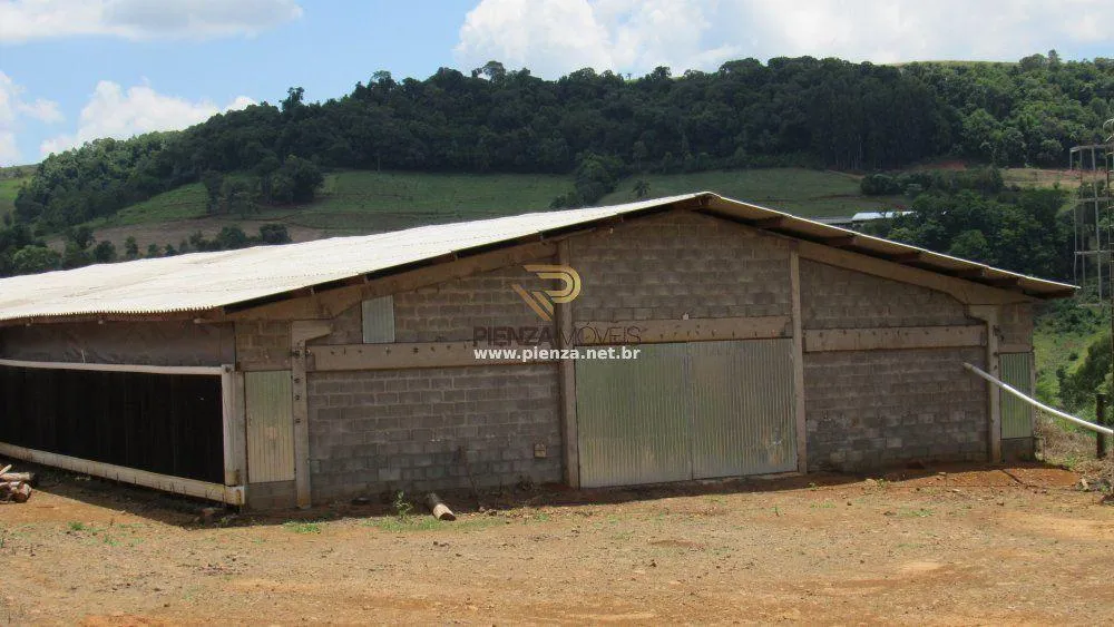 Fazenda, 16 hectares - Foto 7