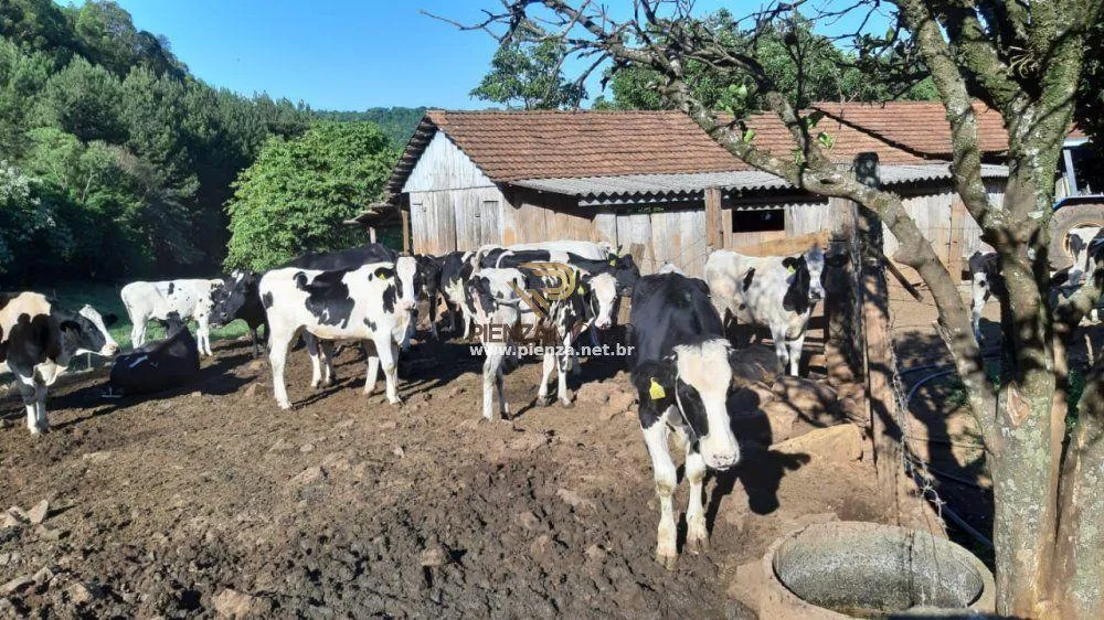 Fazenda, 16 hectares - Foto 12