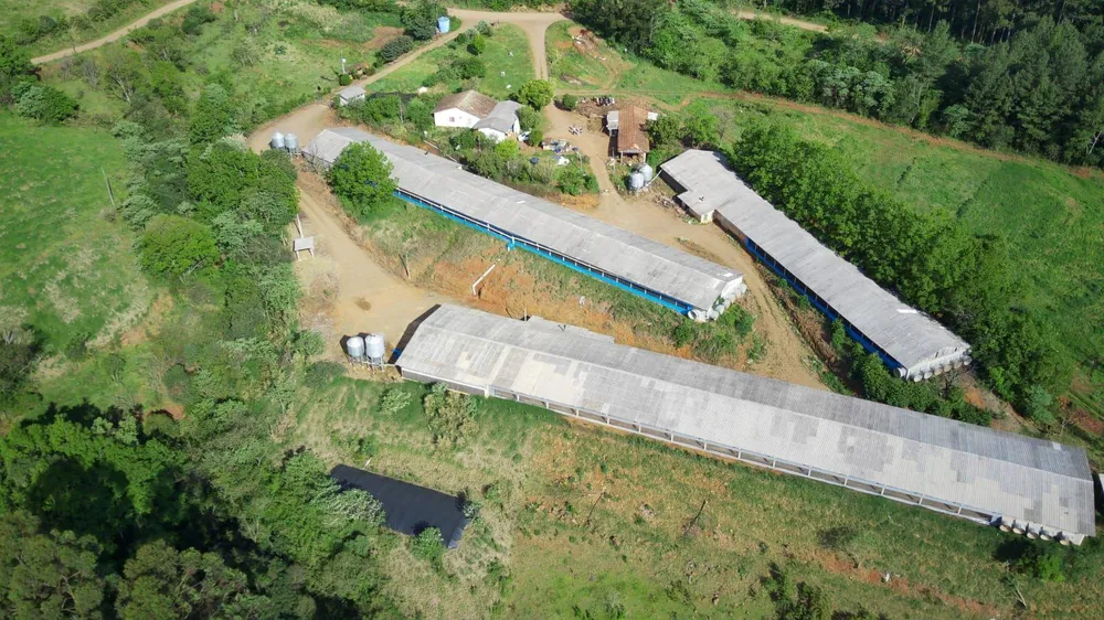 Fazenda, 16 hectares - Foto 4
