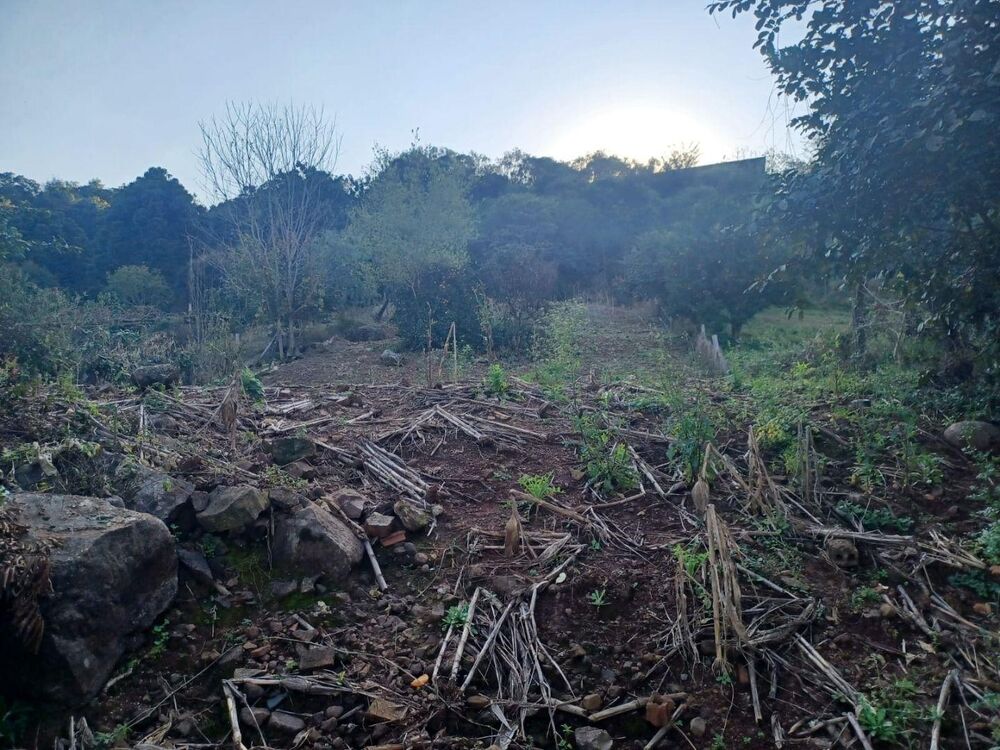 Terreno, 883 m² - Foto 2