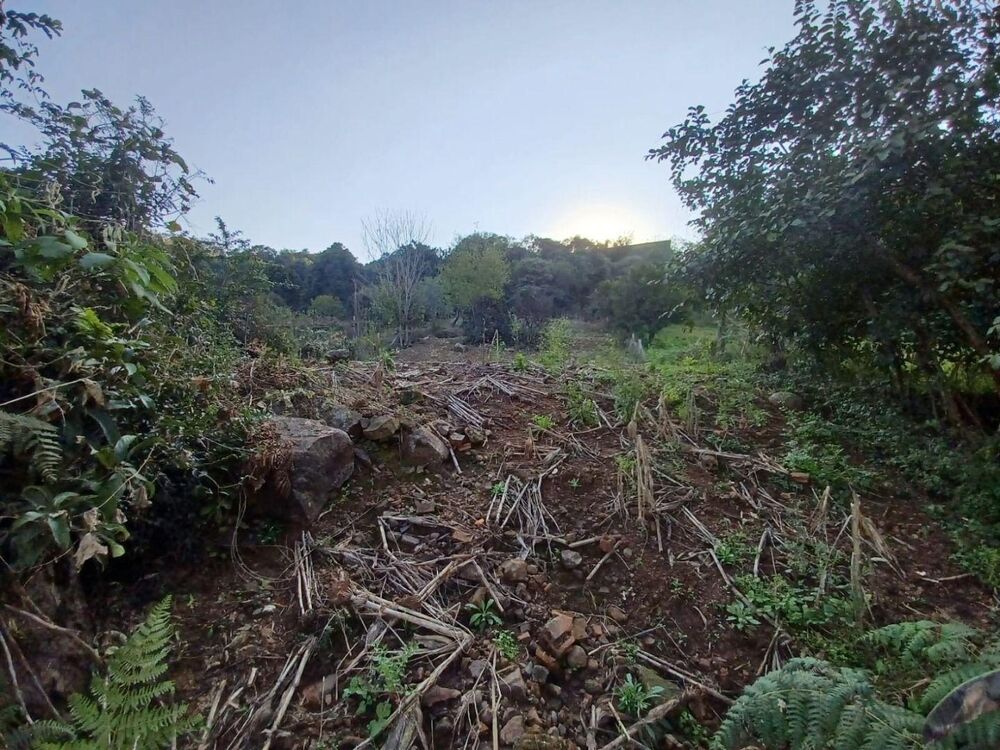 Terreno, 883 m² - Foto 3