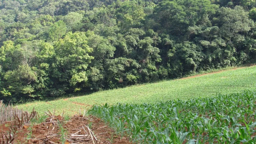 Loteamento e Condomínio, 10 hectares - Foto 7