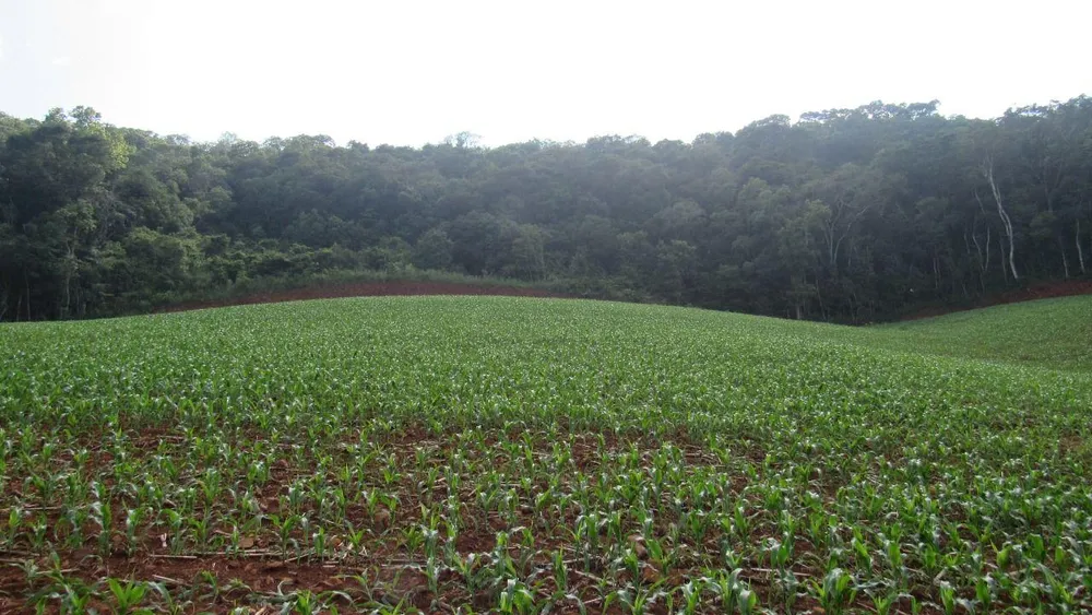 Loteamento e Condomínio, 10 hectares - Foto 8