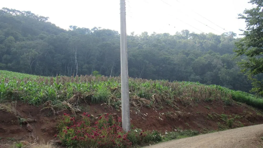 Loteamento e Condomínio, 10 hectares - Foto 4