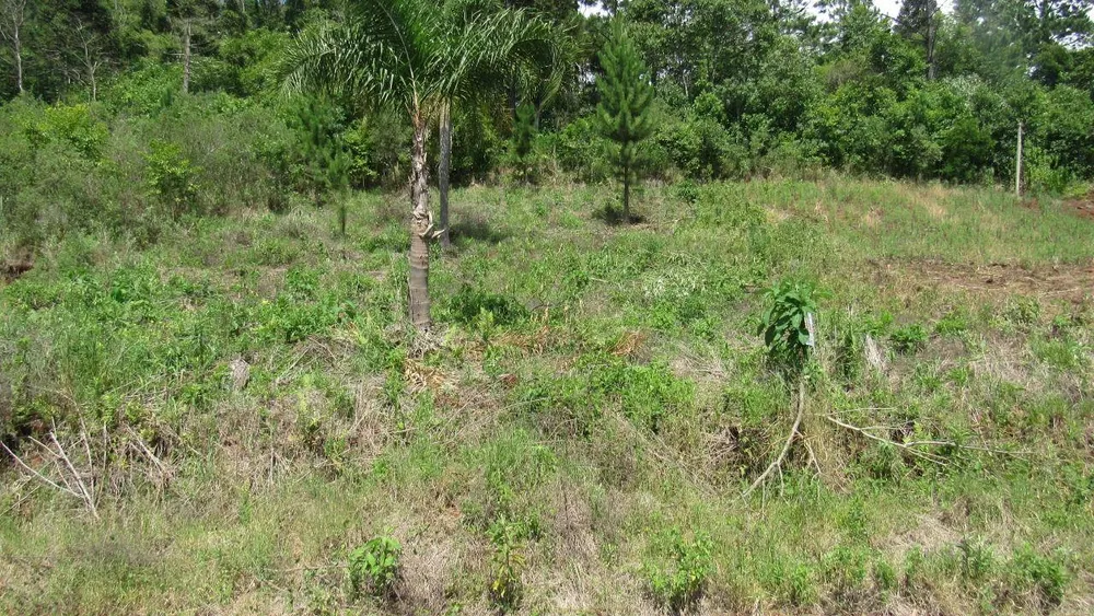Terreno, 450 m² - Foto 4