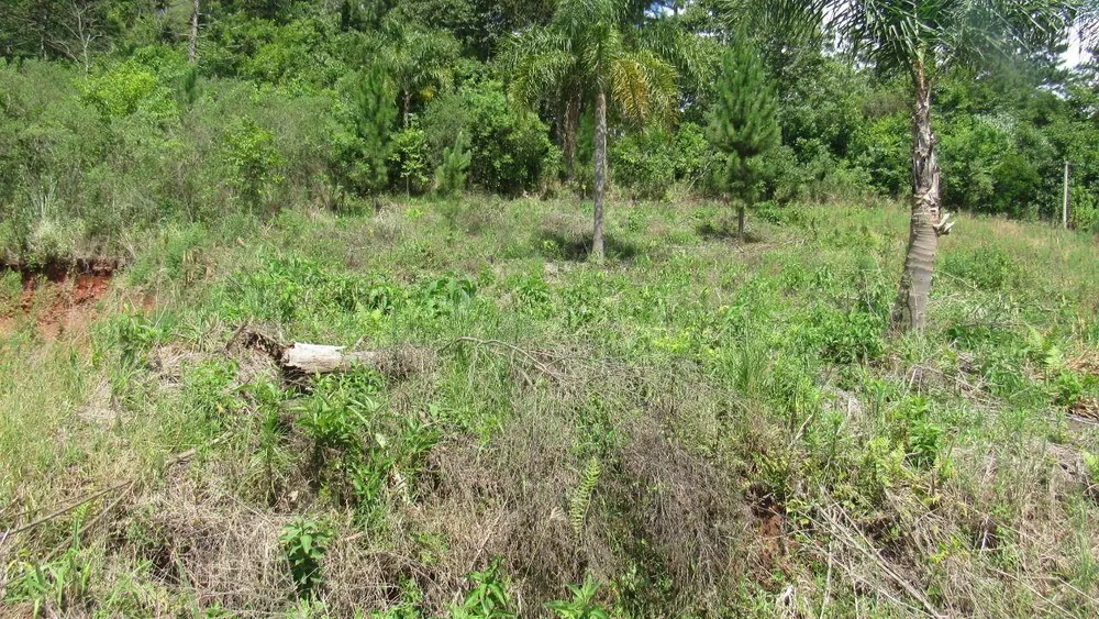 Terreno, 450 m² - Foto 1