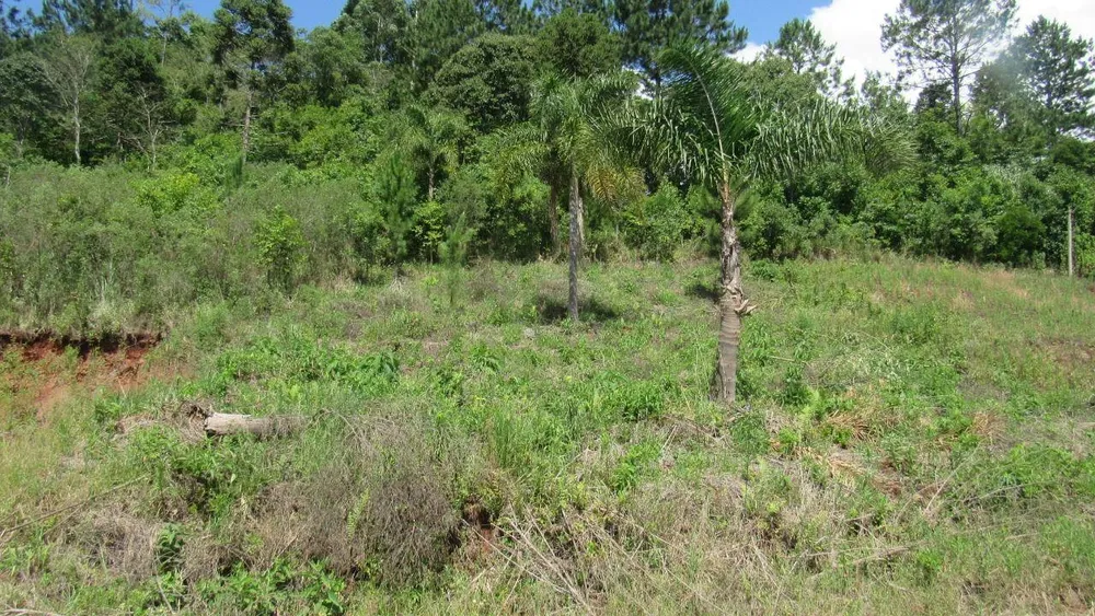 Terreno, 450 m² - Foto 2