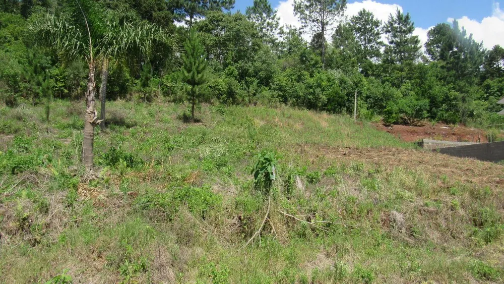 Terreno, 450 m² - Foto 3