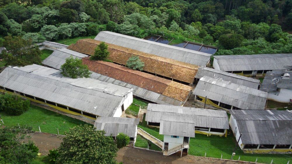 Fazenda à venda, 84700m² - Foto 7
