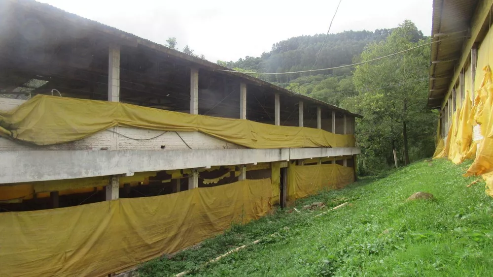 Fazenda, 8 hectares - Foto 31