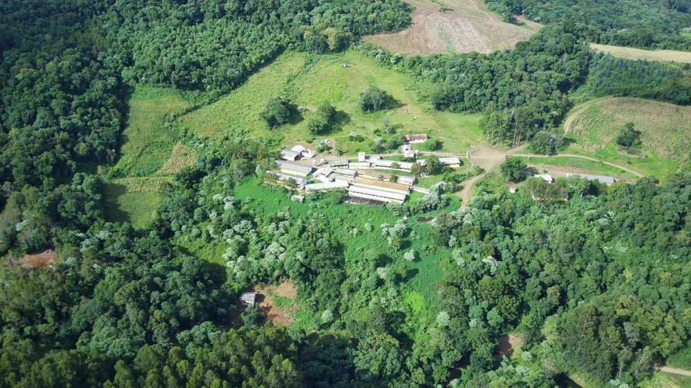 Fazenda, 8 hectares - Foto 4