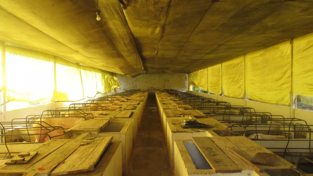 Fazenda, 8 hectares - Foto 27