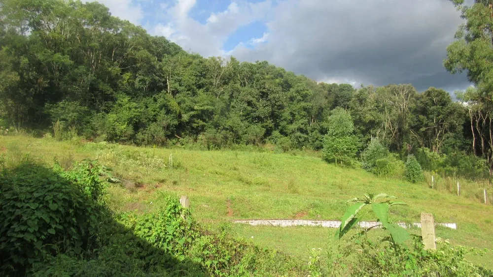 Fazenda, 8 hectares - Foto 14