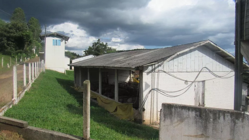 Fazenda, 8 hectares - Foto 24