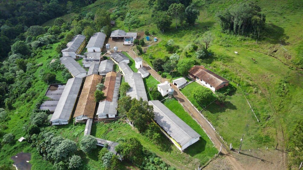 Fazenda à venda, 84700m² - Foto 6