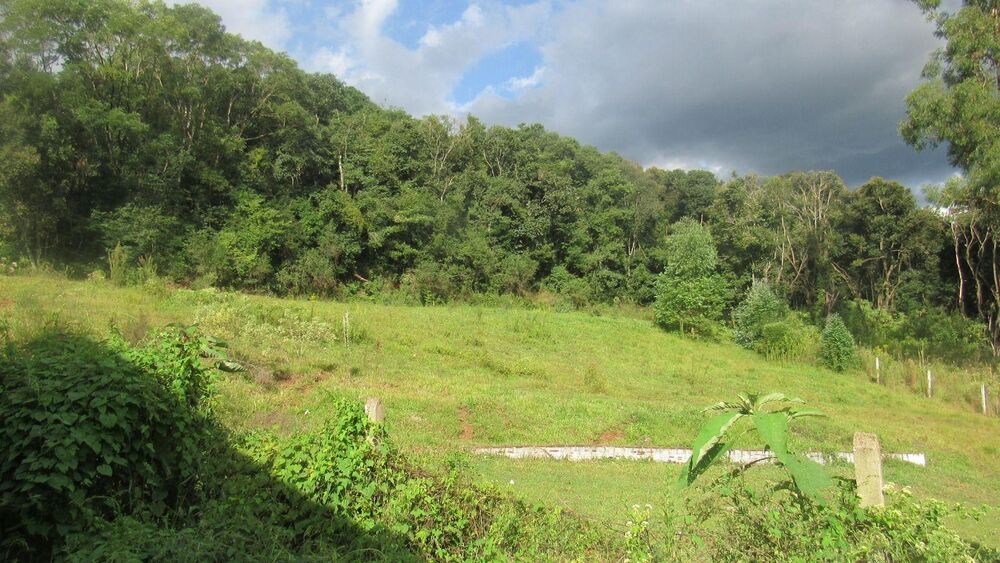 Fazenda à venda, 84700m² - Foto 9