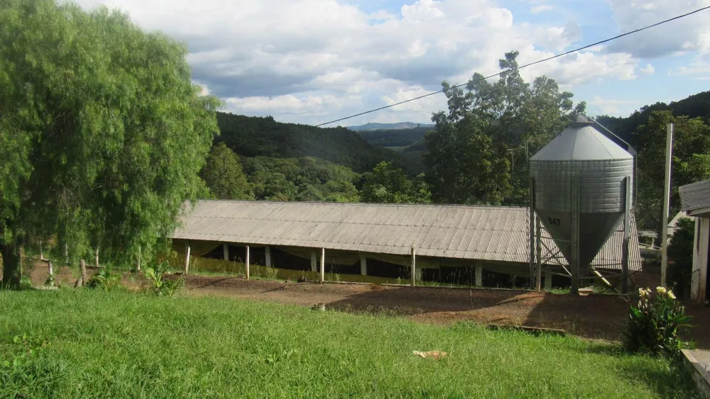 Fazenda, 8 hectares - Foto 11
