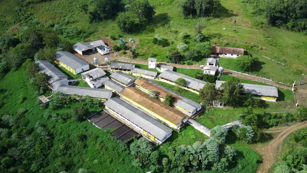 Fazenda, 8 hectares - Foto 6