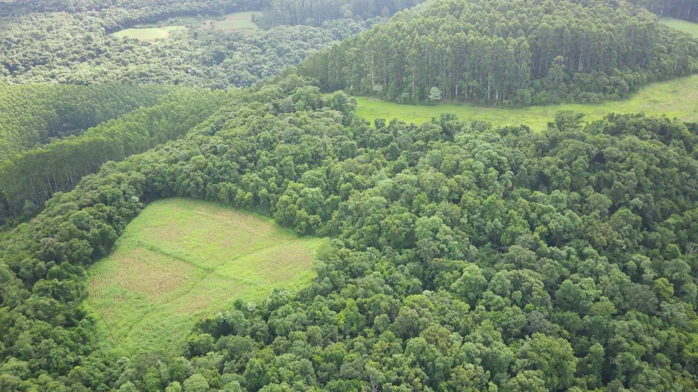 Loteamento e Condomínio, 19 hectares - Foto 12