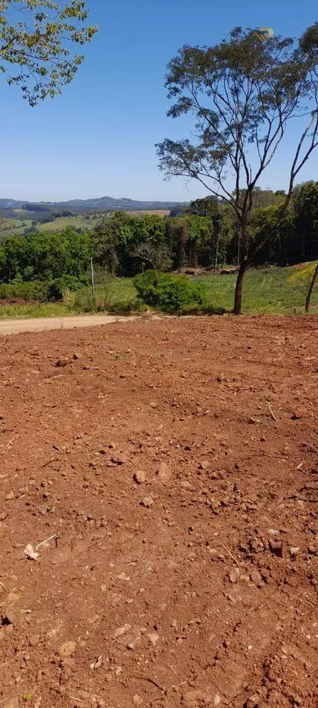 Terreno à venda, 1500M2 - Foto 3